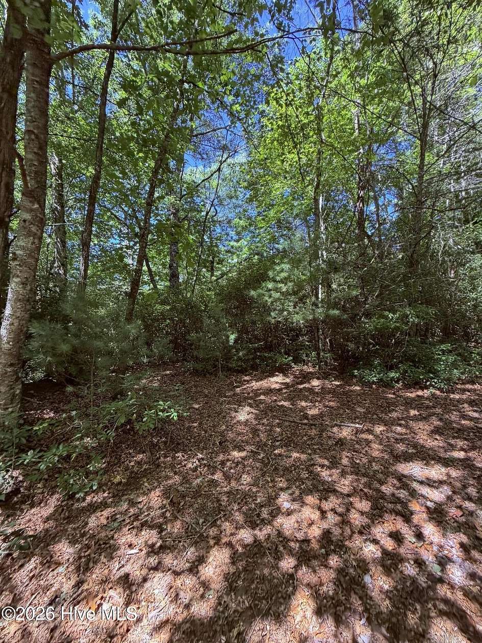 0.67 Acres of Residential Land for Sale in Topton, North Carolina