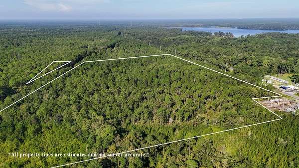 44.7 Acres of Recreational & Residential Land for Sale in Tallahassee, Florida
