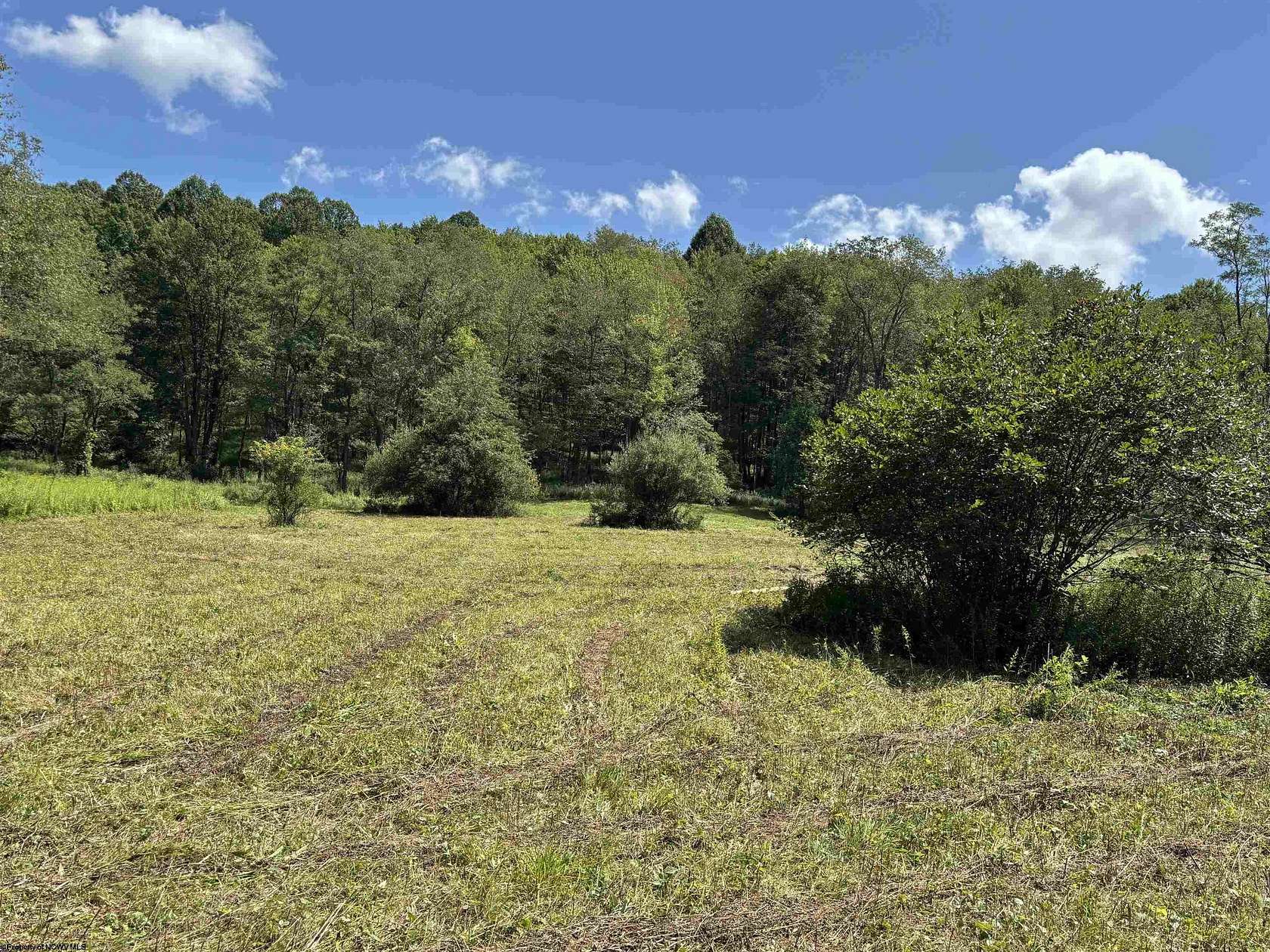 21 Acres of Land for Sale in Belington, West Virginia