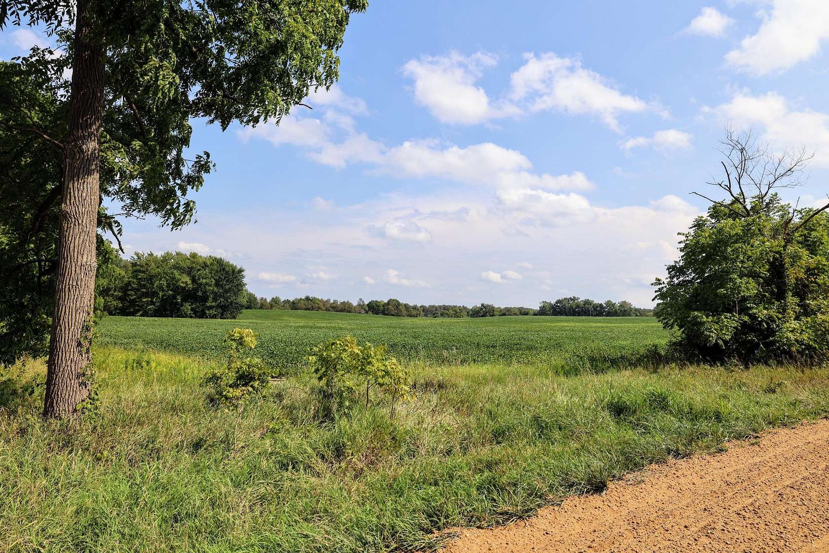 40 Acres of Land for Sale in Bellevue, Michigan