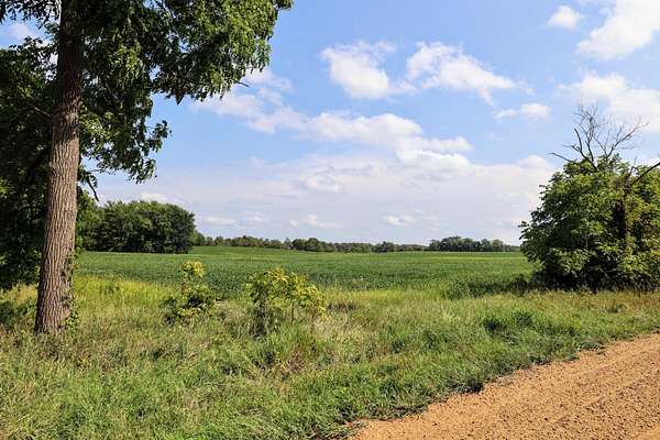 40 Acres of Land for Sale in Bellevue, Michigan