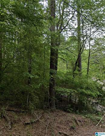 0.47 Acres of Residential Land for Sale in Birmingham, Alabama