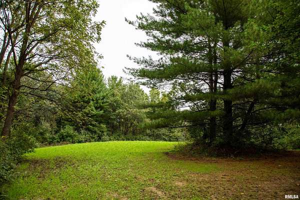 50 Acres of Land for Sale in Dahinda, Illinois