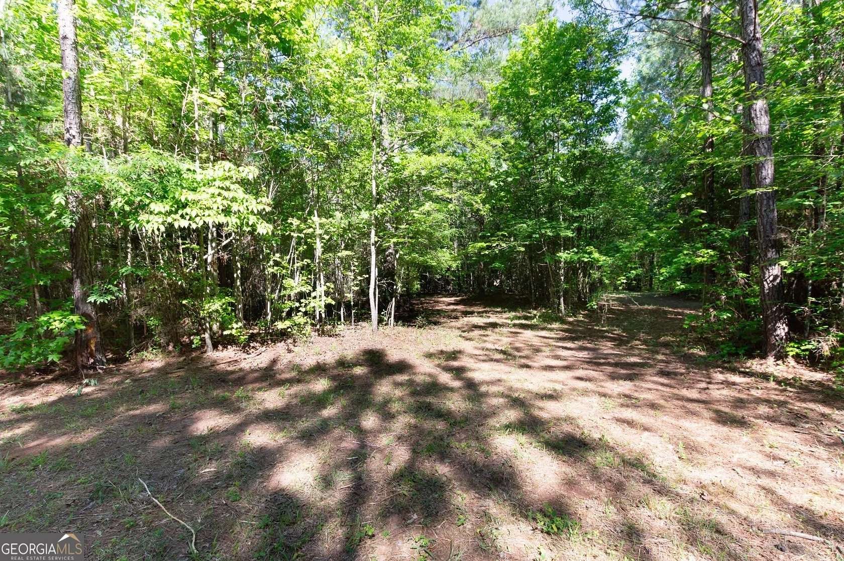 21.5 Acres of Recreational Land for Sale in Monticello, Georgia