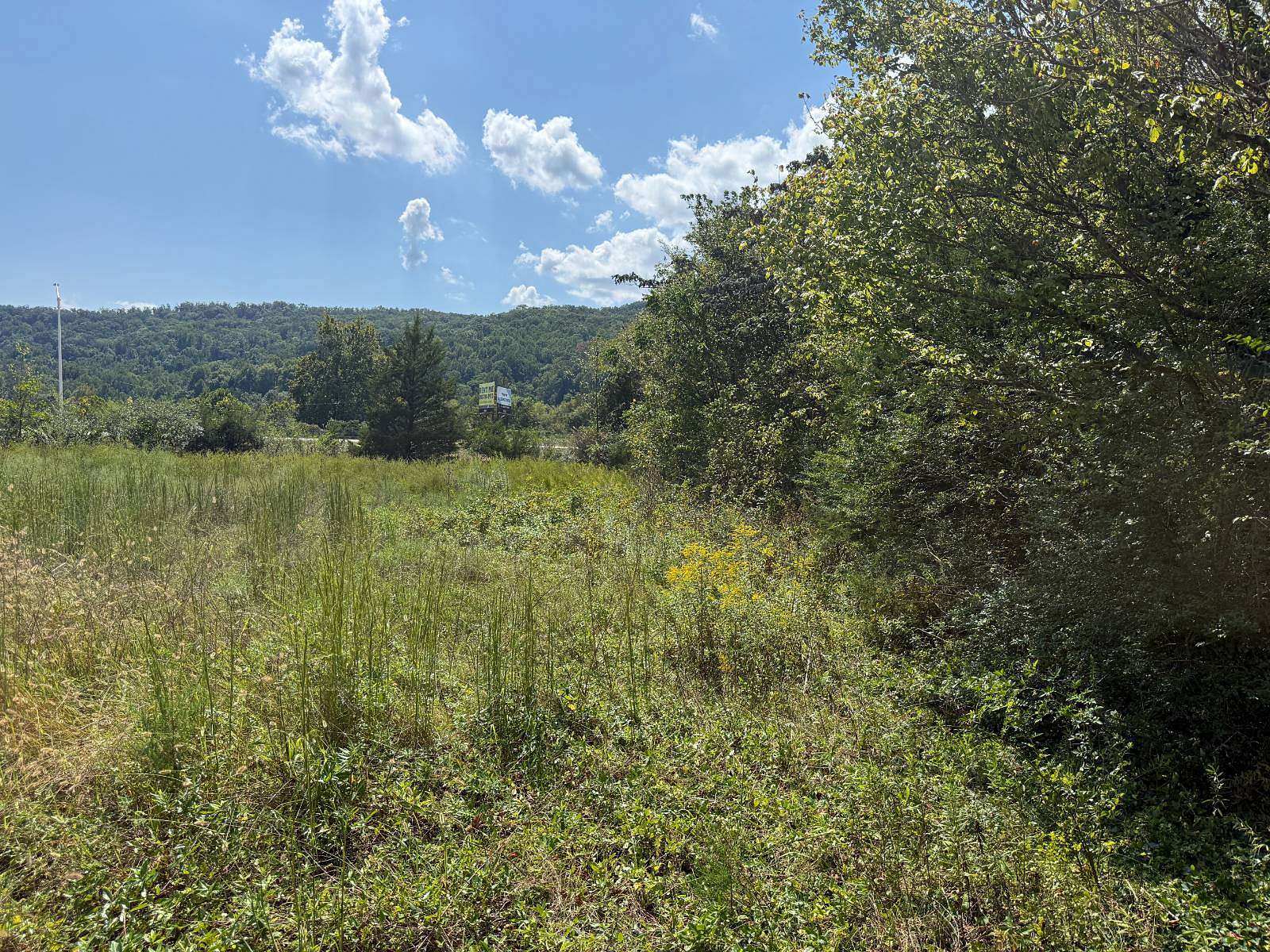 0.82 Acres of Residential Land for Auction in Rocky Top, Tennessee