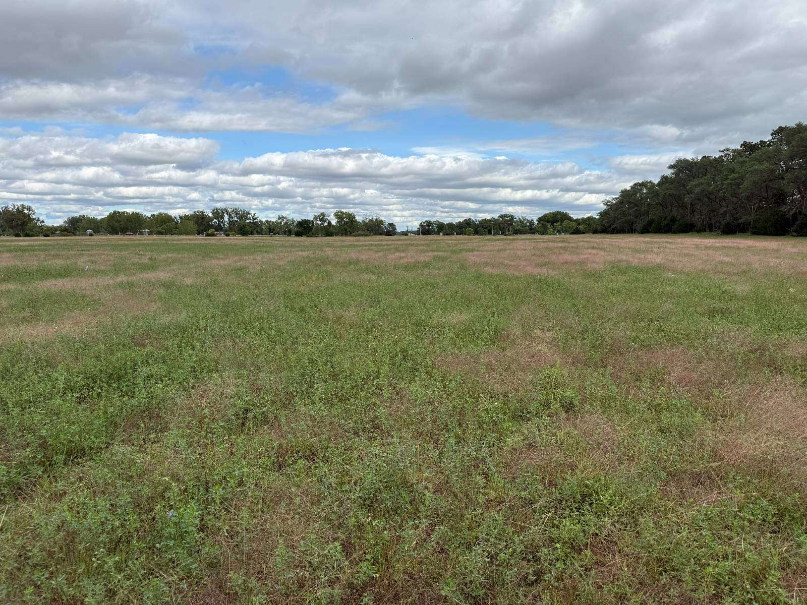 80.4 Acres of Agricultural Land for Sale in Inman, Nebraska