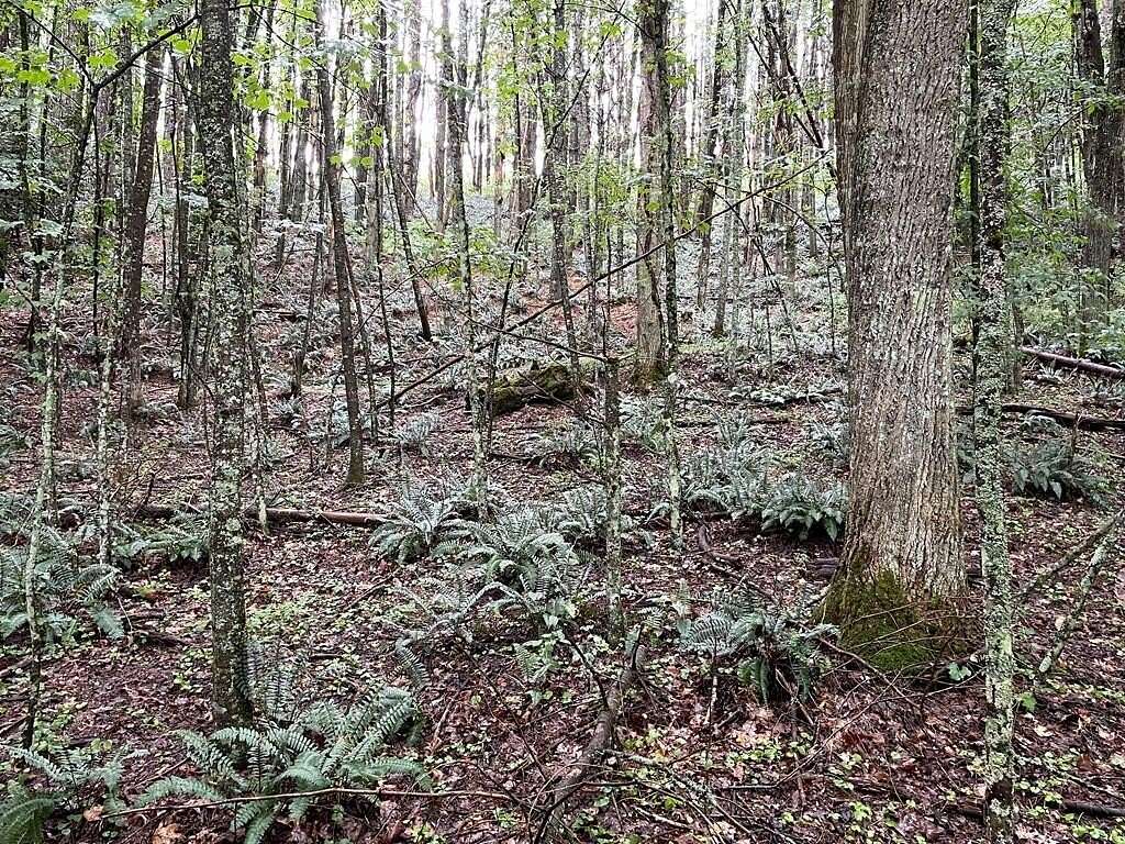 7 Acres of Residential Land for Sale in Hillsville, Virginia