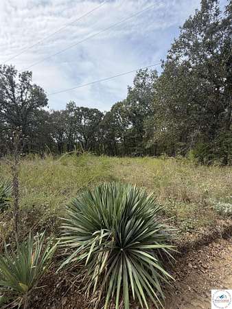 Residential Land for Sale in Versailles, Missouri