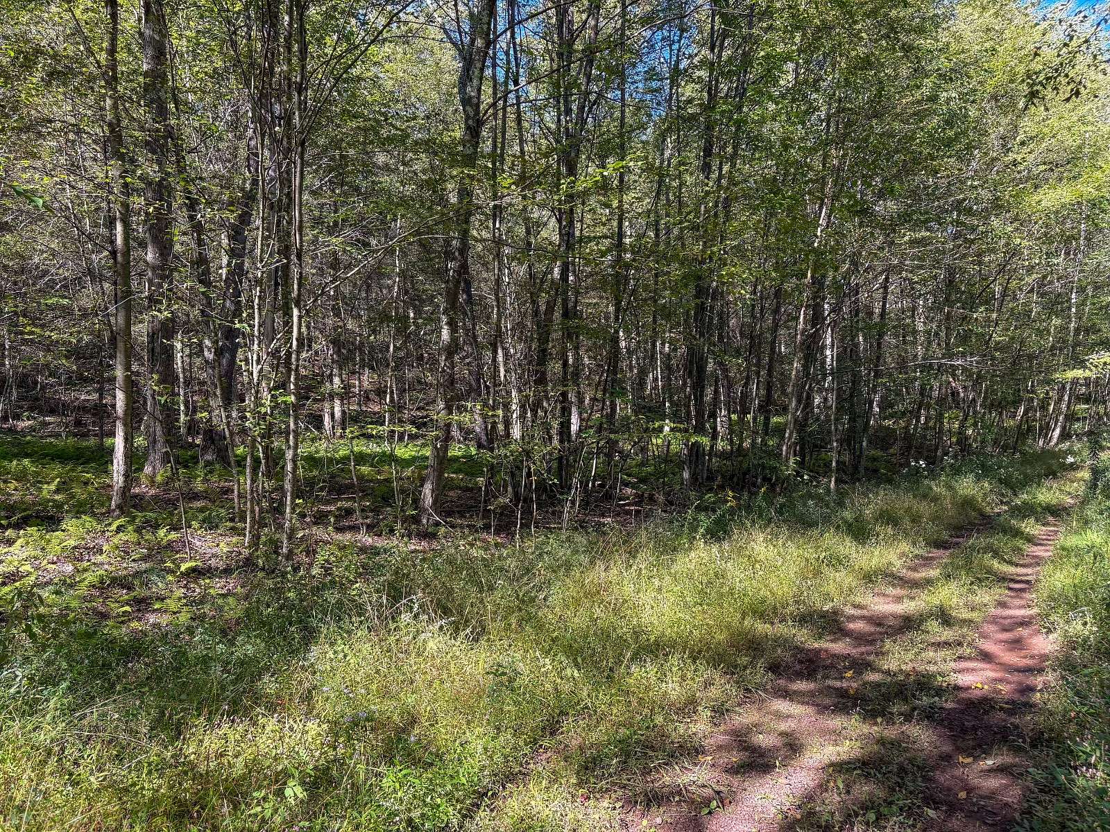 15 Acres of Recreational Land for Sale in Roscoe, New York