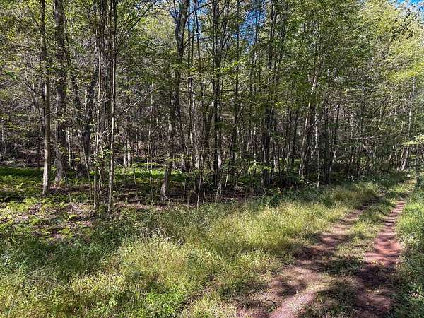 15 Acres of Recreational Land for Sale in Roscoe, New York