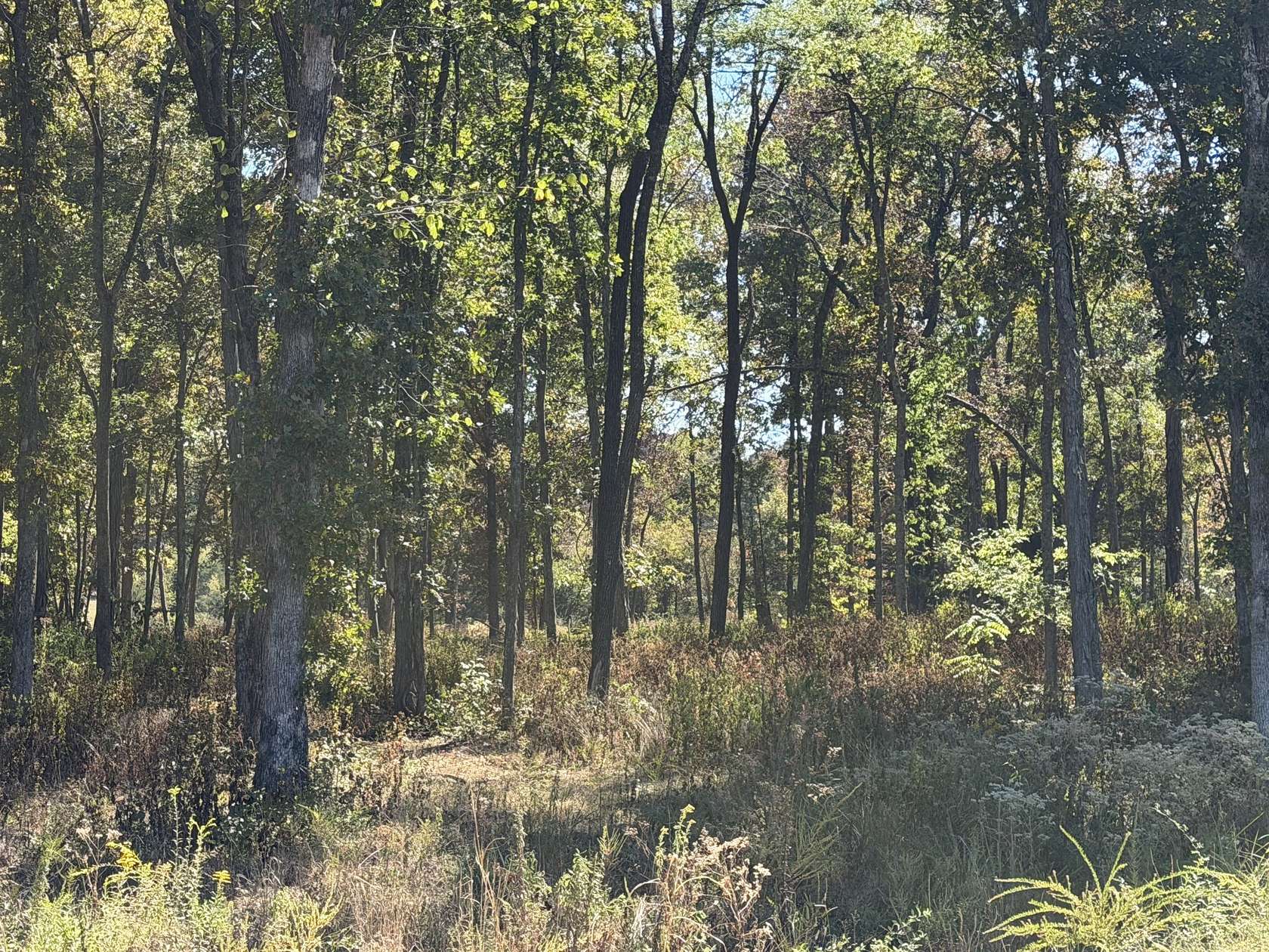 5 Acres of Residential Land for Sale in Murfreesboro, Tennessee