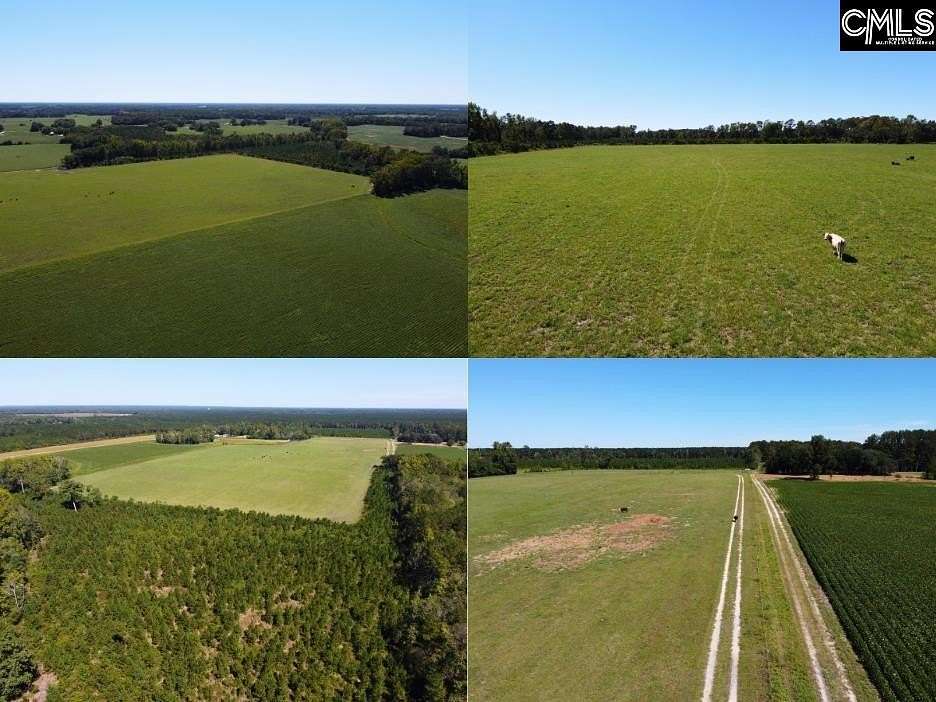 28 Acres of Land for Sale in Hartsville, South Carolina