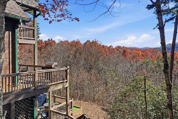 2 Acres of Land with Home for Sale in Cherry Log, Georgia