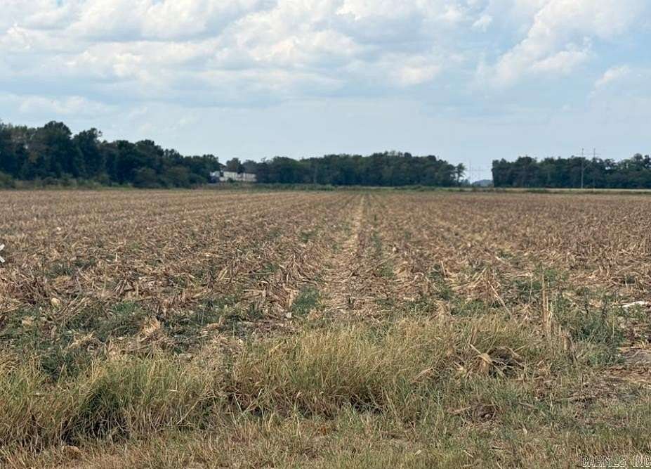 16.3 Acres of Land for Sale in Bono, Arkansas