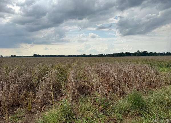 54 Acres of Land for Sale in Cash, Arkansas