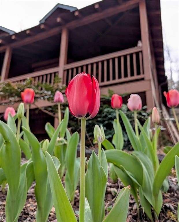 14.7 Acres of Land with Home for Sale in Jasper, Georgia