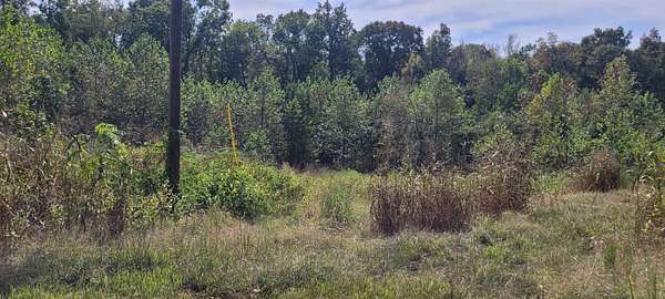 4 Acres of Land for Sale in Clifton, Tennessee