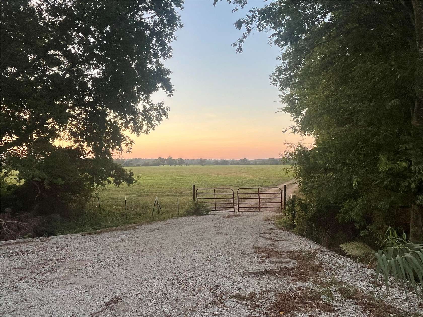 1,003 Acres of Land for Sale in Mexia, Texas