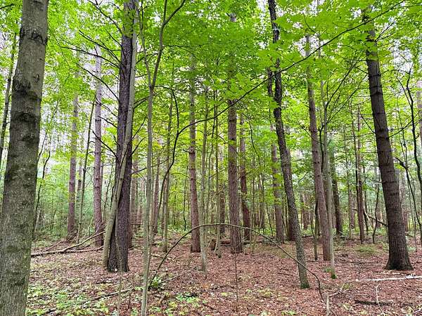 3.45 Acres of Residential Land for Sale in Clintonville, Wisconsin