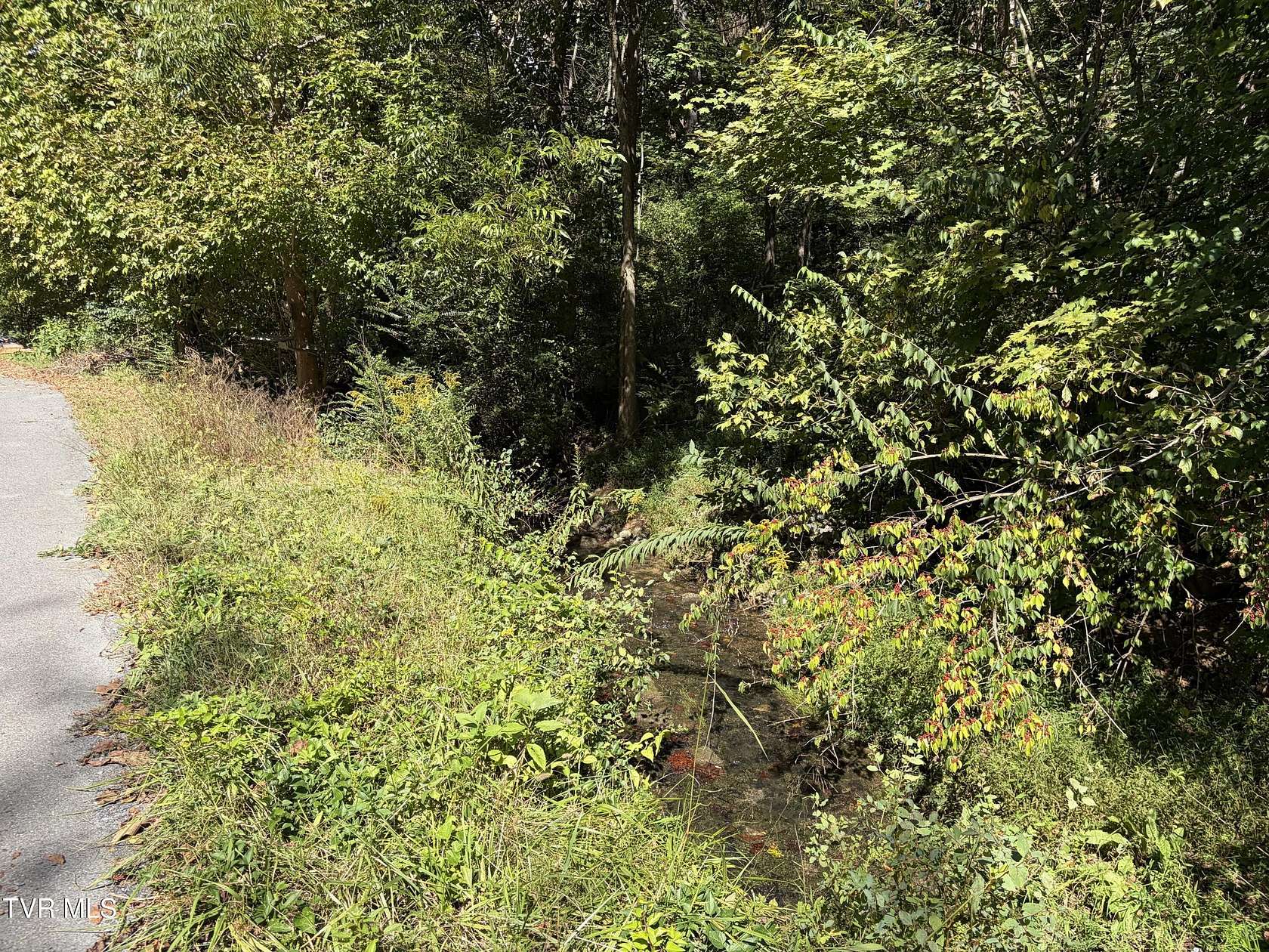 0.4 Acres of Residential Land for Sale in Johnson City, Tennessee