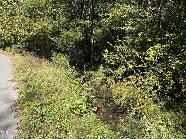 0.4 Acres of Residential Land for Sale in Johnson City, Tennessee