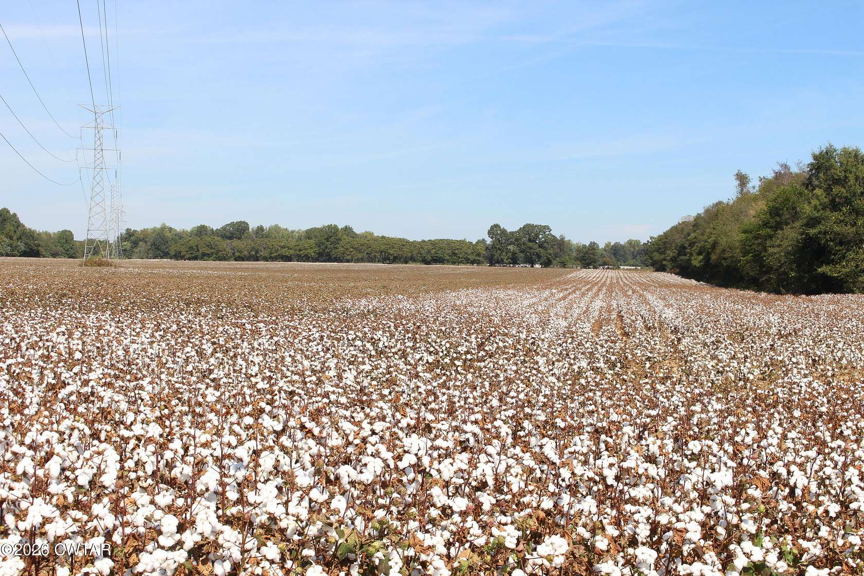 10 Acres of Land for Sale in Jackson, Tennessee