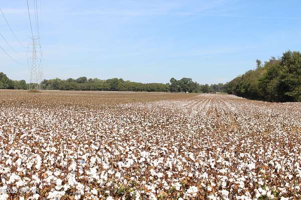 10 Acres of Land for Sale in Jackson, Tennessee