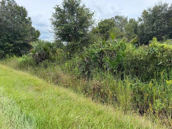 1.25 Acres of Land for Sale in Okeechobee, Florida