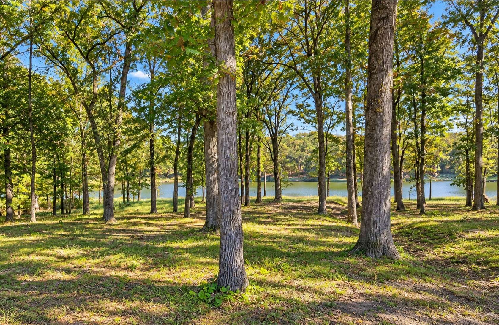 1 Acre of Residential Land for Sale in Leesburg, Texas