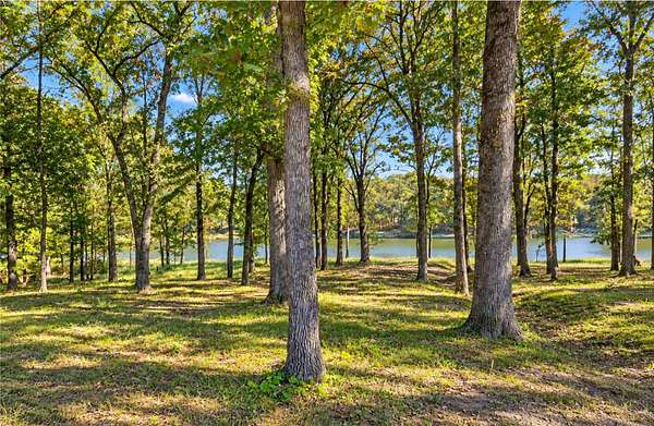 1 Acre of Residential Land for Sale in Leesburg, Texas