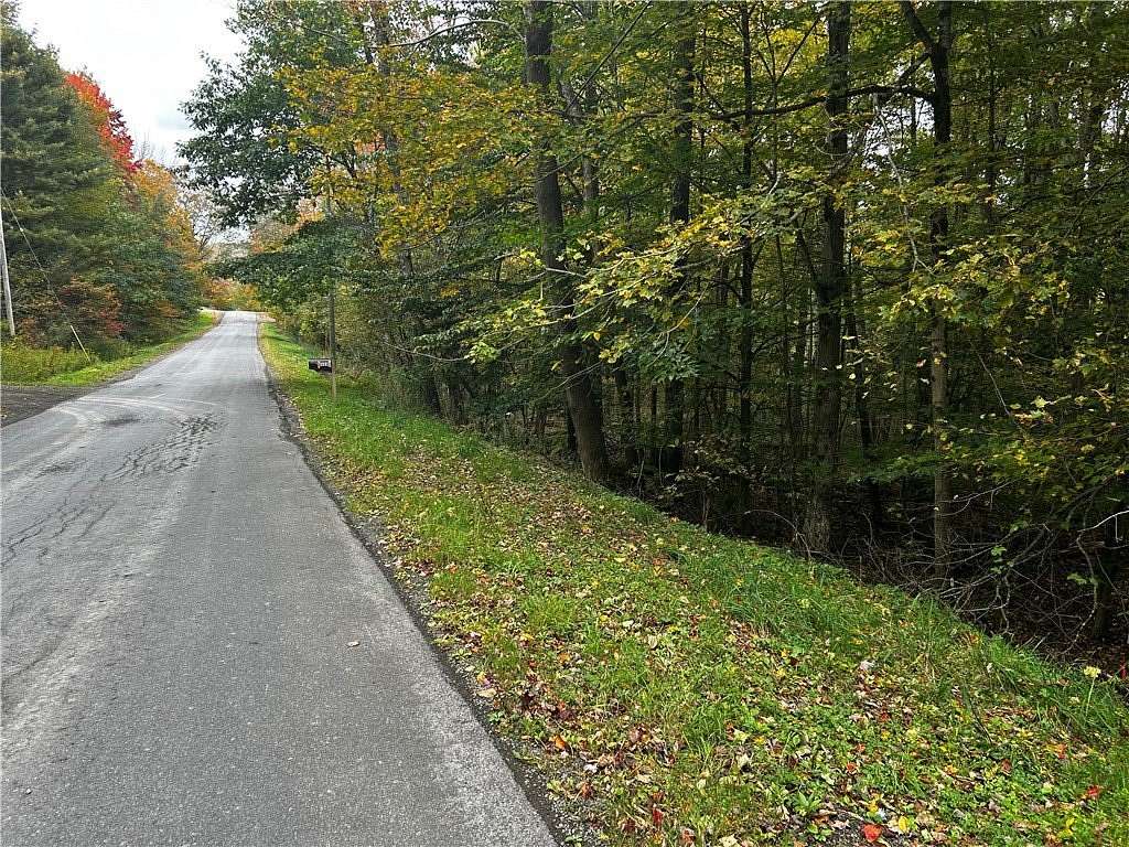 6.12 Acres of Residential Land for Sale in Laurens, New York