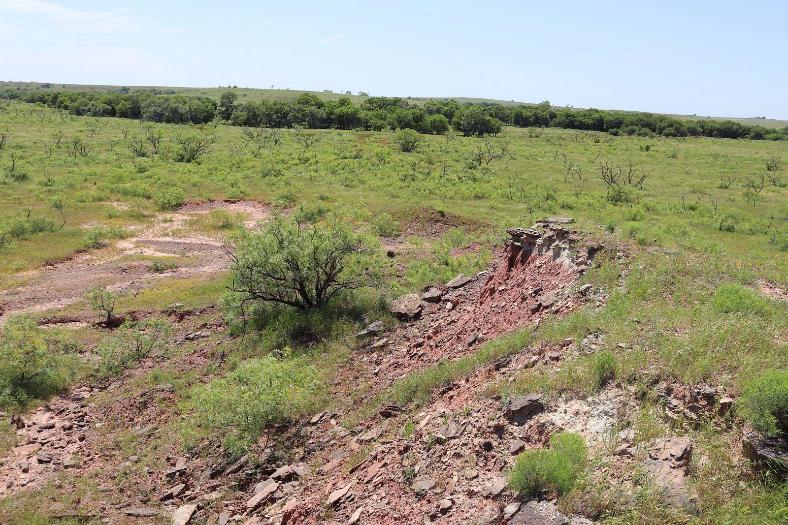 162 Acres of Land for Sale in Waurika, Oklahoma