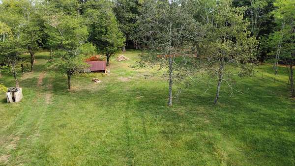 39 Acres of Recreational Land for Auction in Ozone, Arkansas