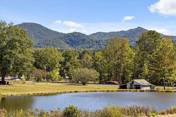 48 Acres of Recreational & Residential Land for Sale in Cisco, Georgia