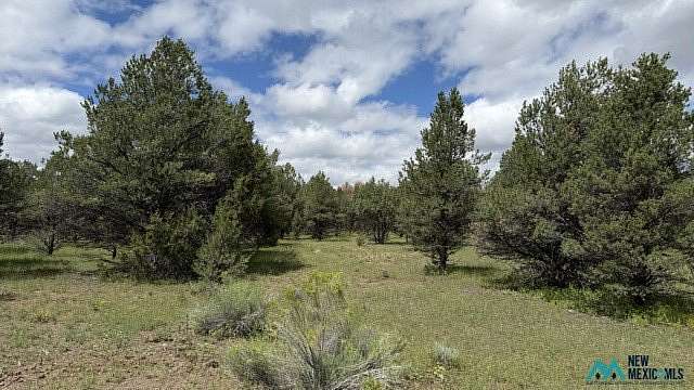 1.74 Acres of Residential Land for Sale in Quemado, New Mexico