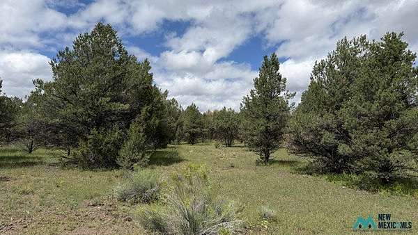 1.74 Acres of Residential Land for Sale in Quemado, New Mexico
