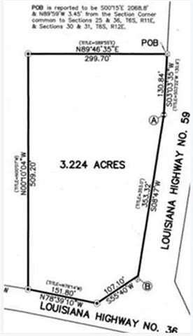 3.22 Acres of Commercial Land for Sale in Abita Springs, Louisiana