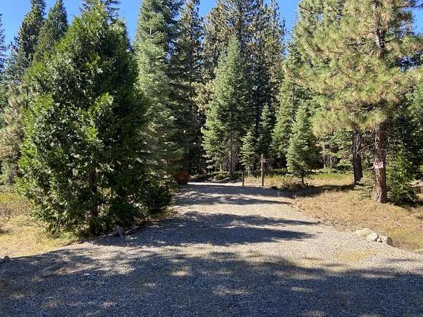 2.5 Acres of Residential Land for Sale in McCloud, California