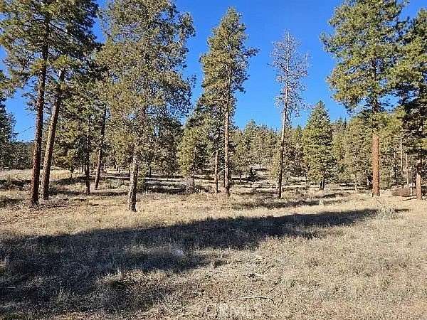 10 Acres of Land for Sale in Dorris, California