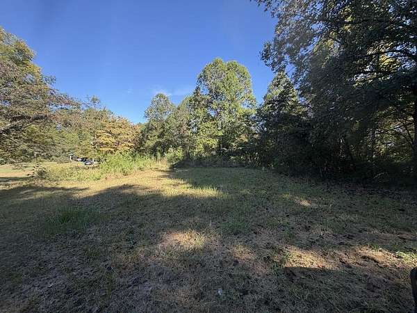 12 Acres of Land for Sale in Mineral Bluff, Georgia