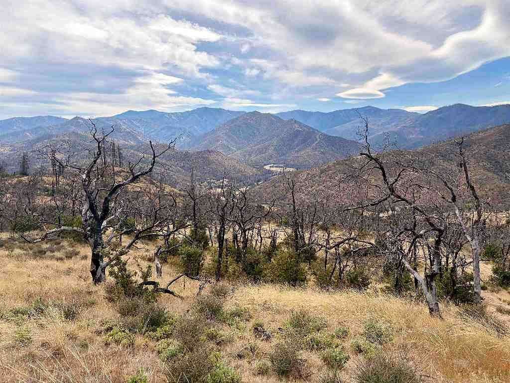 40 Acres of Land for Sale in Klamath River, California