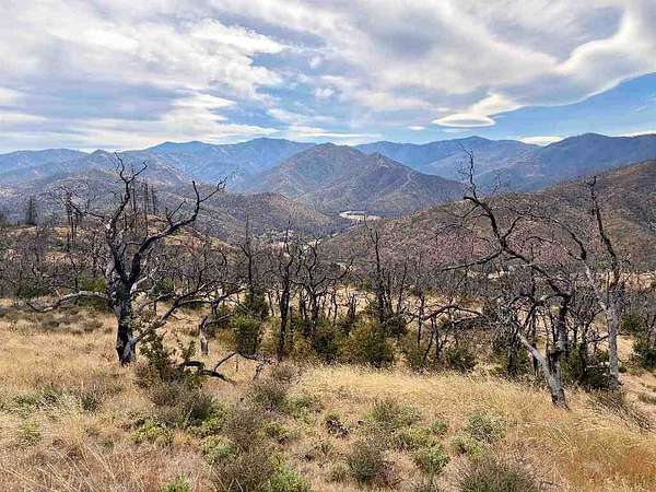 40 Acres of Land for Sale in Klamath River, California