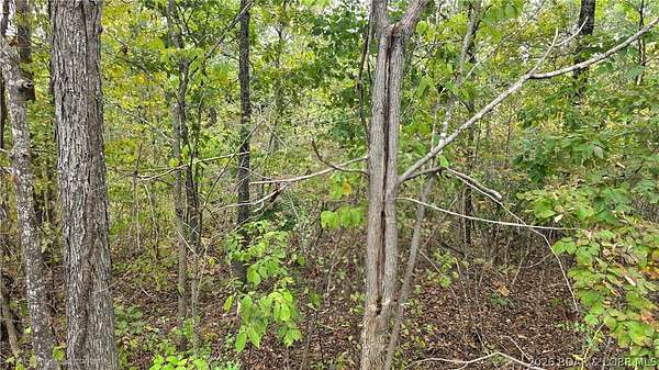 4.9 Acres of Residential Land for Sale in Versailles, Missouri