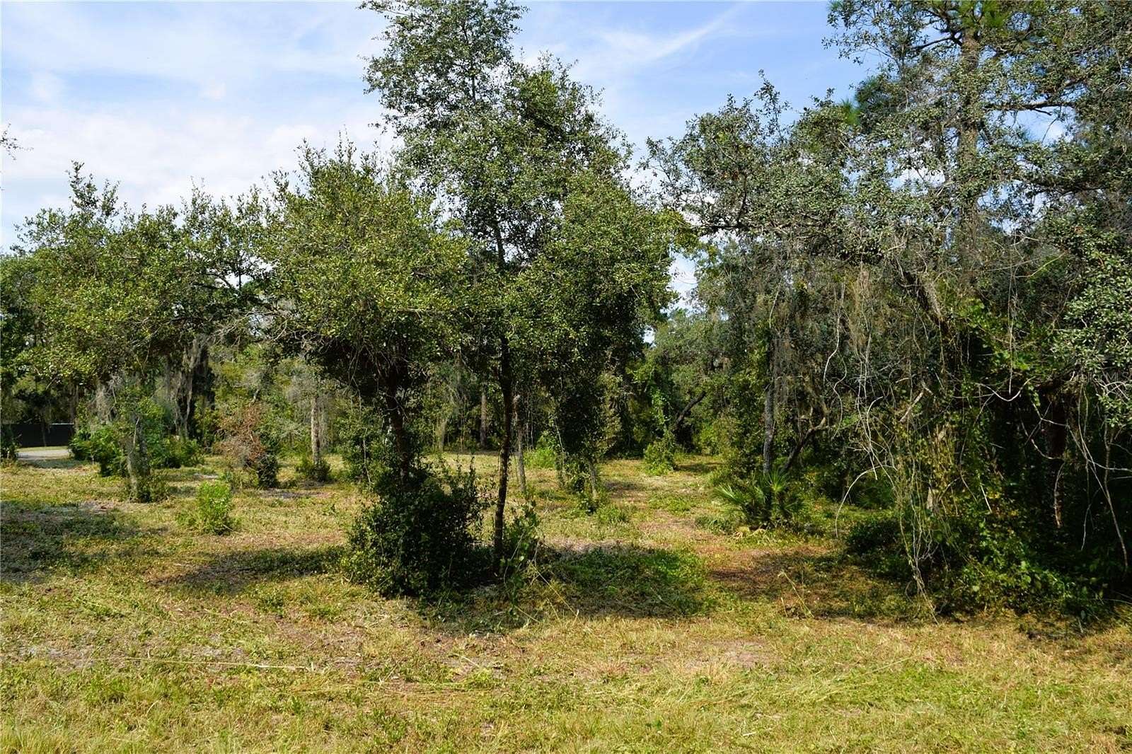 3.18 Acres of Residential Land for Sale in Osteen, Florida