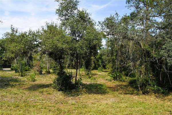 3.18 Acres of Residential Land for Sale in Osteen, Florida