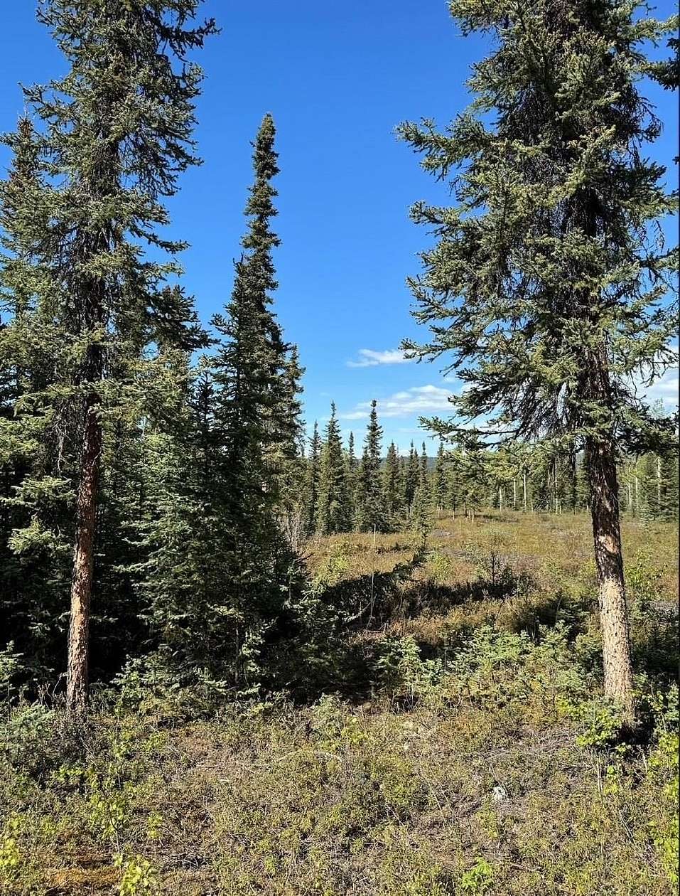 0.45 Acres of Land for Sale in Salcha, Alaska