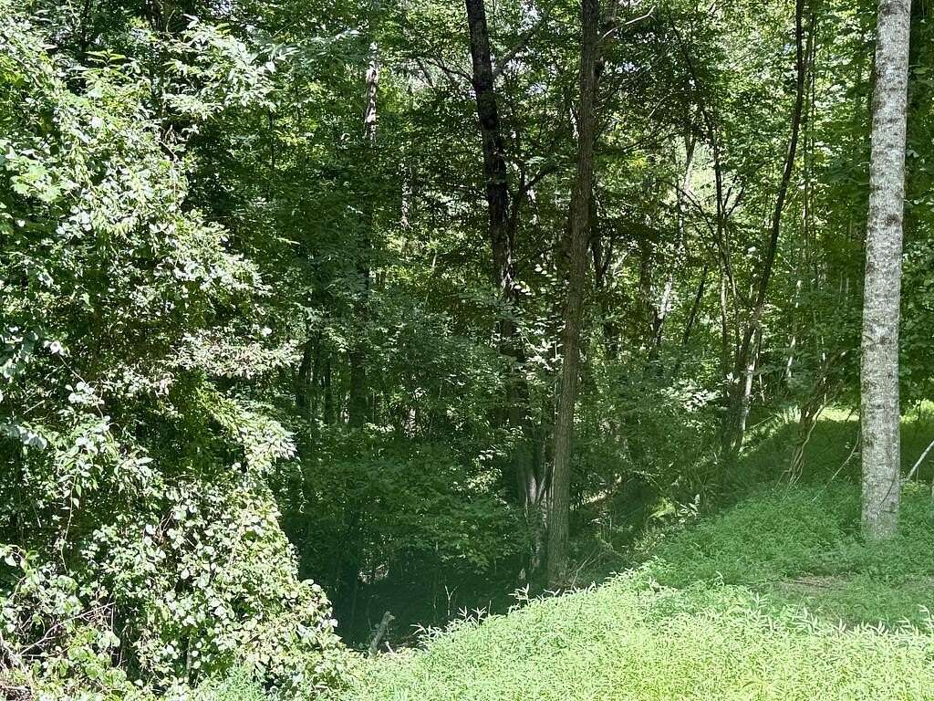 2 Acres of Land for Sale in Brasstown, North Carolina