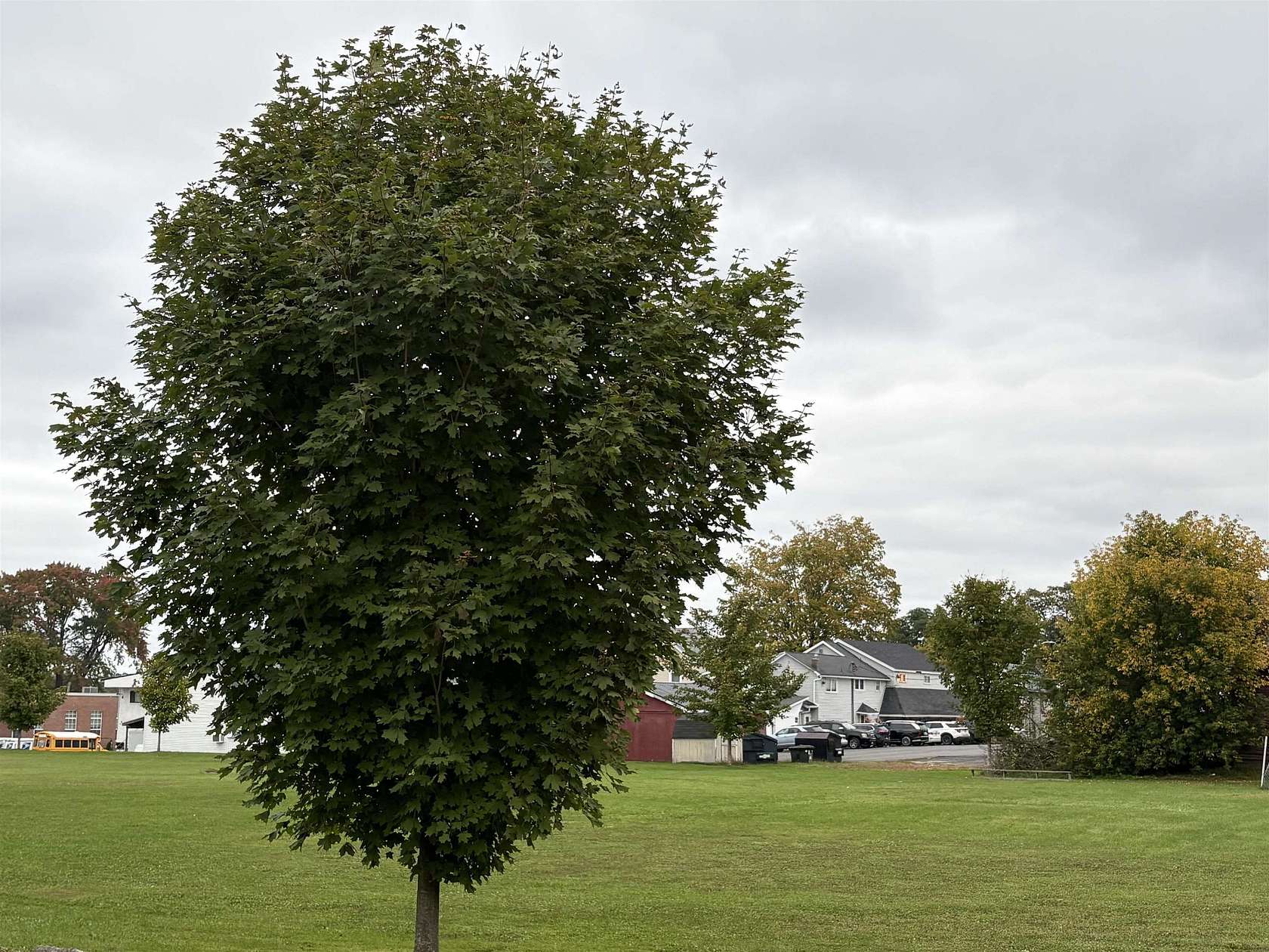 2.3 Acres of Commercial Land for Sale in Massena, New York
