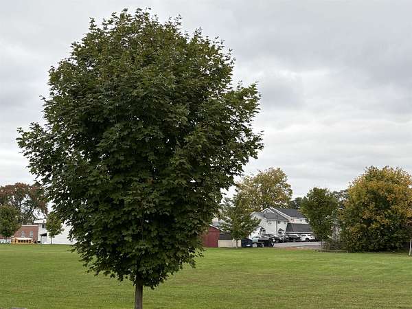 2.3 Acres of Commercial Land for Sale in Massena, New York