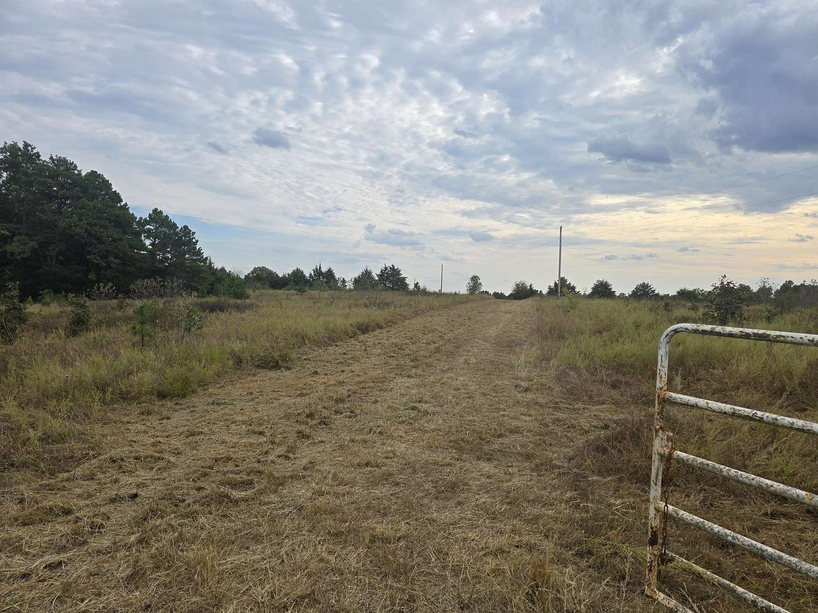 163 Acres of Recreational Land for Sale in Raymondville, Missouri